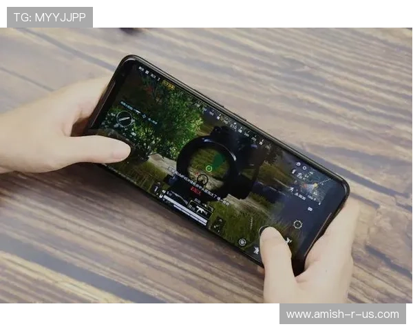 人人体育官网手机版安全保障措施，保障玩家个人信息和游戏资产安全